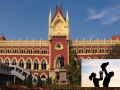 Calcutta HC Prioritizes Privacy Of Unwed Birth Mother Over Adopted Child's 'Root Search' - Hindi News | Calcutta HC Prioritizes Privacy Of Unwed Birth Mother Over Adopted Child's 'Root Search' | Latest national News at Lokmattimes.com