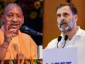 Lok Sabha Election Results 2024: INDIA Bloc Ahead of NDA in Uttar Pradesh, In Unexpected Twist - Hindi News | Lok Sabha Election Results 2024: INDIA Bloc Ahead of NDA in Uttar Pradesh, In Unexpected Twist | Latest national News at Lokmattimes.com
