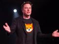 Shiba Inu become the 12th-biggest cryptocurrency in market value after Musk's tweet - Hindi News | Shiba Inu become the 12th-biggest cryptocurrency in market value after Musk's tweet | Latest business News at Lokmattimes.com