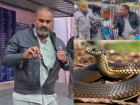 Watch: Snake-Bitten Man Brings Live Snake to Mathura Hospital Emergency Ward; Viral Video Surfaces
