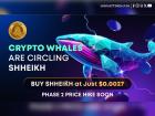 SHHEIKH Token Explodes in Just 2 Weeks — $3M+ Raised and Climbing