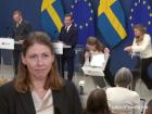 Elisabet Lann: Sweden Health Minister Collapses During Live Press Conference; Video Surfaces