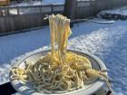 Frozen Spaghetti Viral Video: Pasta and Spoon Hang in Midair as Minneapolis Temperature Drops to -21 Degrees