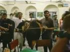 Bangladesh University Students Demand Beef at Hindu Canteen, Threaten to Slaughter Cow; Shocking Video Emerges