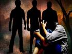 Delhi Crime: Driver And Conductor Arrested Over Alleged Gang Rape of Woman in Private Bus in Nangloi