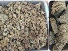 Mumbai Customs Confiscates 42.898 Kg Hydroponic Weed , Arrests Five Passengers