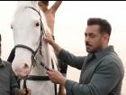 Did You Know? The Horse Featured in the Song Main Hoon from Battle of Galwan Is Salman Khan’s Own Horse