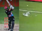 BBL 2025: James Vince's Powerful Shot Hits Seagull During Sydney Sixers vs Melbourne Stars Match (Watch Video)