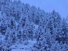 J&K Weather Update: Heavy Snowfall in Doda’s Bhalesa, Authorities Advise Residents to Stay Indoors