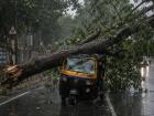 Mumbai Tree Collapse: 15-Year-Old Succumbs A Week After Khar Mishap, Other Victims Remain Critical