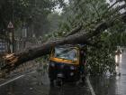 Mumbai Tragedy: Tree Falls on Moving Auto in Khar, Two Critical; Construction Company Booked