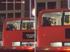 London Viral Video: Couple Caught on Camera Having Sex on Moving Double-Decker Bus in Hayes