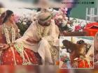 Viral Video: Monkey Crashes Riverside Wedding in Rishikesh, Stuns Bride and Groom