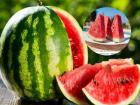 Watermelon Safety Alert: Mumbai Food Poisoning Case Raises Concerns, Know How to Check Fresh Fruit