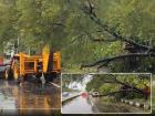 Panchkula–Shimla Highway Traffic Update: Injuries Feared After Huge Tree Falls on School Bus Amid Rains