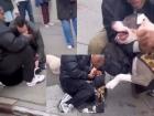 Pit Bull Attack Injures Toddler in New York City; Disturbing Video Surfaces