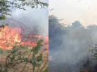 Puducherry Fire: Unidentified Individuals Set Fire Near Abishegapakkam Lake, Causing Massive Wildlife Loss (Watch Video)