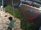Pune: Boy Survives Close Encounter With Leopard While Playing Outside Home in Shirur Taluka (Watch Video)