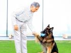 Ratan Tata Wealth: Late Industrialist Includes Pet Dog Tito in His Rs 10,000-Crore Will to Ensure 'Unlimited' Care