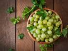 Winter Diet Tips: Why Pairing Amla With These 5 Foods Is Good For Health