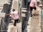 Surat Youth Attacked While Trying Catch Snake Without Safety Gear, Video Surfaces