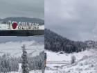 Snowfall in Jammu & Kashmir: Gulmarg’s Scenic Hills and Trees Turn Magical White (Watch Video)