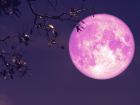 Strawberry Moon 2025: When, Where, and How to Watch June’s Stunning Full Moon