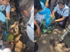 Pune: Woman Gets Stuck Knee-Deep in PVC Pipe in Kalewadi, Rescued Safely After Two-Hour Operation