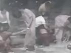 Jhansi Shocker: Pitbull Attacks Woman, Bites Her Hand for Almost 5 Minutes, Horrifying Video Surfaced