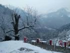 Himachal Pradesh