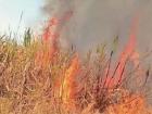 Sangli: One Dead, One Injured As Sugarcane Stubble Fire Goes Out of Control in Shirala