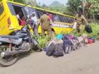 Andhra Pradesh: 40 Students Injured After School Bus Rams Into Trees in Visakhapatnam