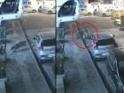 Mumbai: Leopard Spotted in Mulund, Sparks Panic After Viral Video Shows Stray Dog Attack
