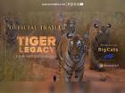 Maharashtra's Tiger Epic: How Tadoba Became the Setting for India's Most Ambitious Wildlife Series