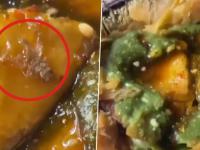 Ghaziabad: Man Finds Dead Spider Inside Samosa, Shocking Video Goes Viral! - News | Ghaziabad: Man Finds Dead Spider Inside Samosa, Shocking Video Goes Viral! | Latest social-viral News at Lokmattimes.com Ghaziabad: Man Finds Dead Spider Inside Samosa, Shocking Video Goes Viral! - News | Ghaziabad: Man Finds Dead Spider Inside Samosa, Shocking Video Goes Viral! | Latest social-viral News at Lokmattimes.com