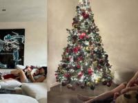 Christmas 2023: Amy Jackson shares glimpse of her celebration with son Andrea - News | Christmas 2023: Amy Jackson shares glimpse of her celebration with son Andrea | Latest entertainment News at Lokmattimes.com Christmas 2023: Amy Jackson shares glimpse of her celebration with son Andrea - News | Christmas 2023: Amy Jackson shares glimpse of her celebration with son Andrea | Latest entertainment News at Lokmattimes.com