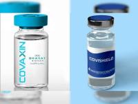 Covishield Offers Stronger Shield than Covaxin: Study - News | Covishield Offers Stronger Shield than Covaxin: Study | Latest health News at Lokmattimes.com Covishield Offers Stronger Shield than Covaxin: Study - News | Covishield Offers Stronger Shield than Covaxin: Study | Latest health News at Lokmattimes.com
