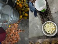 Hyderabad Restaurant Shocker: Cockroaches, Rotten Vegetables Found During Food Inspection In Popular Eatery Outlet (Watch Video) - News | Hyderabad Restaurant Shocker: Cockroaches, Rotten Vegetables Found During Food Inspection In Popular Eatery Outlet (Watch Video) | Latest national News at Lokmattimes.com Hyderabad Restaurant Shocker: Cockroaches, Rotten Vegetables Found During Food Inspection In Popular Eatery Outlet (Watch Video) - News | Hyderabad Restaurant Shocker: Cockroaches, Rotten Vegetables Found During Food Inspection In Popular Eatery Outlet (Watch Video) | Latest national News at Lokmattimes.com
