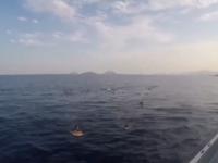 68 African Migrants Dead, Dozens Missing in Shipwreck Off Yemen: UN - News | 68 African Migrants Dead, Dozens Missing in Shipwreck Off Yemen: UN | Latest international News at Lokmattimes.com 68 African Migrants Dead, Dozens Missing in Shipwreck Off Yemen: UN - News | 68 African Migrants Dead, Dozens Missing in Shipwreck Off Yemen: UN | Latest international News at Lokmattimes.com