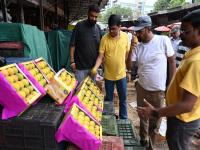 Pune Sees Mango Rush on Akshaya Tritiya, Devgad Hapus Falls Short; Check Latest Prices - News | Pune Sees Mango Rush on Akshaya Tritiya, Devgad Hapus Falls Short; Check Latest Prices | Latest pune News at Lokmattimes.com Pune Sees Mango Rush on Akshaya Tritiya, Devgad Hapus Falls Short; Check Latest Prices - News | Pune Sees Mango Rush on Akshaya Tritiya, Devgad Hapus Falls Short; Check Latest Prices | Latest pune News at Lokmattimes.com