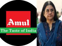 Amul Refutes Maneka Gandhi's Claims of Cow Slaughter, Calls Allegations Fake - News | Amul Refutes Maneka Gandhi's Claims of Cow Slaughter, Calls Allegations Fake | Latest national News at Lokmattimes.com Amul Refutes Maneka Gandhi's Claims of Cow Slaughter, Calls Allegations Fake - News | Amul Refutes Maneka Gandhi's Claims of Cow Slaughter, Calls Allegations Fake | Latest national News at Lokmattimes.com