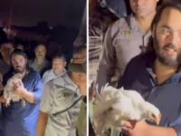 Anant Ambani Rescues Chickens from Slaughter During His ‘Padyatra’ to Dwarka (Watch Video) - News | Anant Ambani Rescues Chickens from Slaughter During His ‘Padyatra’ to Dwarka (Watch Video) | Latest national News at Lokmattimes.com Anant Ambani Rescues Chickens from Slaughter During His ‘Padyatra’ to Dwarka (Watch Video) - News | Anant Ambani Rescues Chickens from Slaughter During His ‘Padyatra’ to Dwarka (Watch Video) | Latest national News at Lokmattimes.com