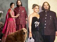 Anant-Radhika Wedding Ceremony: Sangeet, Griha Pravesh, and Two Receptions Detail Schedule Inside - News | Anant-Radhika Wedding Ceremony: Sangeet, Griha Pravesh, and Two Receptions Detail Schedule Inside | Latest entertainment News at Lokmattimes.com Anant-Radhika Wedding Ceremony: Sangeet, Griha Pravesh, and Two Receptions Detail Schedule Inside - News | Anant-Radhika Wedding Ceremony: Sangeet, Griha Pravesh, and Two Receptions Detail Schedule Inside | Latest entertainment News at Lokmattimes.com