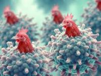 Avian Influenza: Nagpur Zoo Halts Feeding Chicken to Wild Animals Amid Rising Bird Flu Cases - News | Avian Influenza: Nagpur Zoo Halts Feeding Chicken to Wild Animals Amid Rising Bird Flu Cases | Latest maharashtra News at Lokmattimes.com