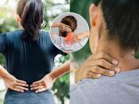 Beat Back and Neck Pain: Try These Simple Yoga Asanas Daily - News | Beat Back and Neck Pain: Try These Simple Yoga Asanas Daily | Latest lifestyle News at Lokmattimes.com Beat Back and Neck Pain: Try These Simple Yoga Asanas Daily - News | Beat Back and Neck Pain: Try These Simple Yoga Asanas Daily | Latest lifestyle News at Lokmattimes.com