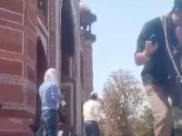 Bee Attack In Agra: 3 Injured After Swarm Strikes Tourists During Taj Mahal Visit (Watch Video) - News | Bee Attack In Agra: 3 Injured After Swarm Strikes Tourists During Taj Mahal Visit (Watch Video) | Latest national News at Lokmattimes.com