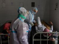 Black Fungus: 12 people die in 24 hour in Bihar - News | Black Fungus: 12 people die in 24 hour in Bihar | Latest national News at Lokmattimes.com Black Fungus: 12 people die in 24 hour in Bihar - News | Black Fungus: 12 people die in 24 hour in Bihar | Latest national News at Lokmattimes.com