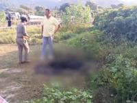 Haridwar: Burned Female Body Found in Ghaziwali, Police Suspect Murder - News | Haridwar: Burned Female Body Found in Ghaziwali, Police Suspect Murder | Latest national News at Lokmattimes.com Haridwar: Burned Female Body Found in Ghaziwali, Police Suspect Murder - News | Haridwar: Burned Female Body Found in Ghaziwali, Police Suspect Murder | Latest national News at Lokmattimes.com