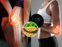 Tired of Bone Pain? Try This Natural Calcium-Rich Foods to Strengthen Bones - News | Tired of Bone Pain? Try This Natural Calcium-Rich Foods to Strengthen Bones | Latest lifestyle News at Lokmattimes.com