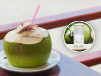 Winter Health Tips: Why Coconut Water Is Still Beneficial in Cold Weather - News | Winter Health Tips: Why Coconut Water Is Still Beneficial in Cold Weather | Latest health News at Lokmattimes.com Winter Health Tips: Why Coconut Water Is Still Beneficial in Cold Weather - News | Winter Health Tips: Why Coconut Water Is Still Beneficial in Cold Weather | Latest health News at Lokmattimes.com